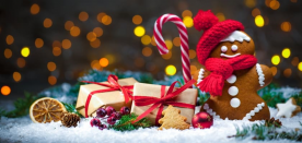 Chiusura Natalizia - Christmas Holidays 2025