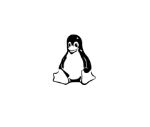 Linux in Embedded Applications